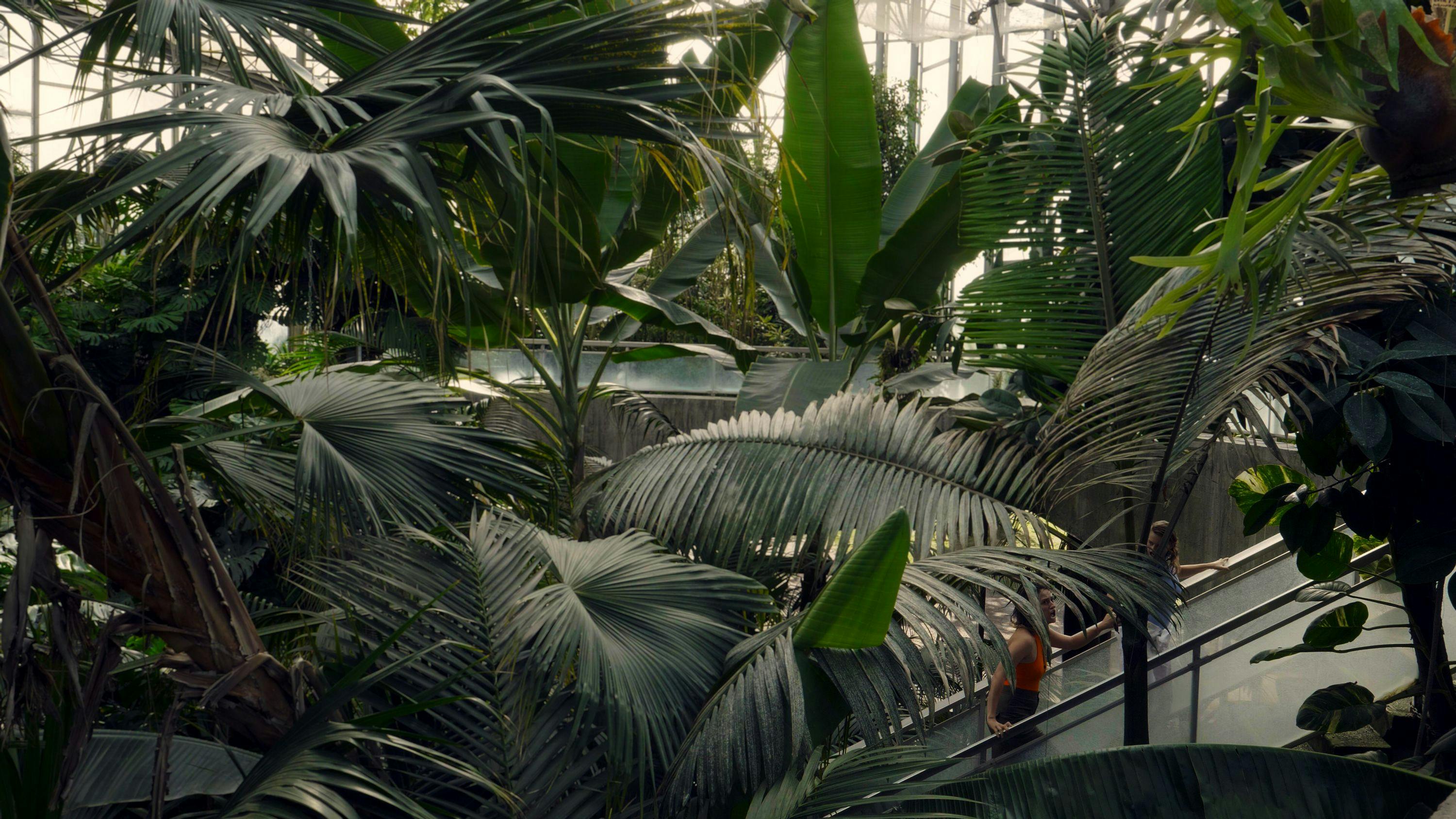 Scientists in a greenhouse with tropical plants. 